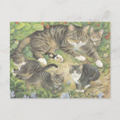 KAT-GESCHILD BRIEFKAART (Voorkant)