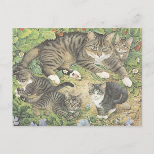 KAT-GESCHILD BRIEFKAART (Voorkant)