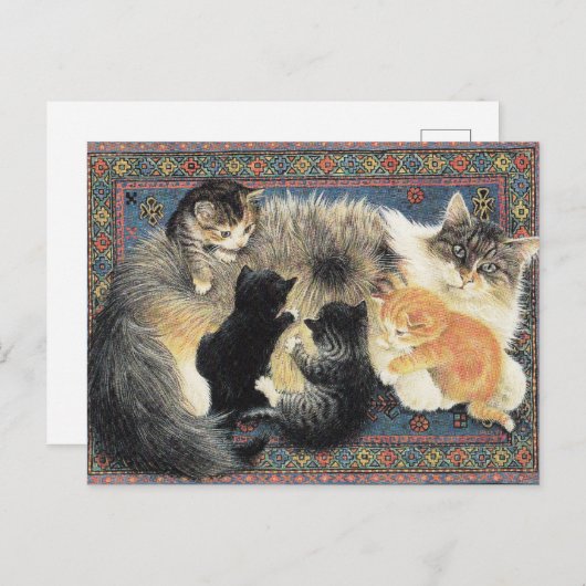 KAT-GESCHILD BRIEFKAART (Voorkant / Achterkant)