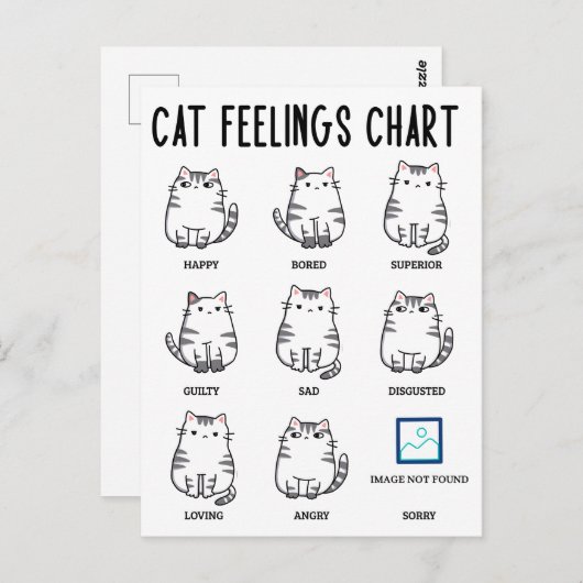 Kat Gevoelens Chart Briefkaart (Voorkant / Achterkant)
