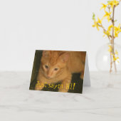 Kat "Gewoon zeggen" HI!" Wenskaart Kaart (Gele Bloem)