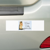 Kat Gezegde Bumpersticker (Op auto)