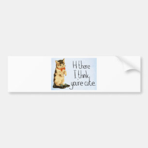 Kat Gezegde Bumpersticker