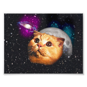 Kat gezicht en maan foto afdruk