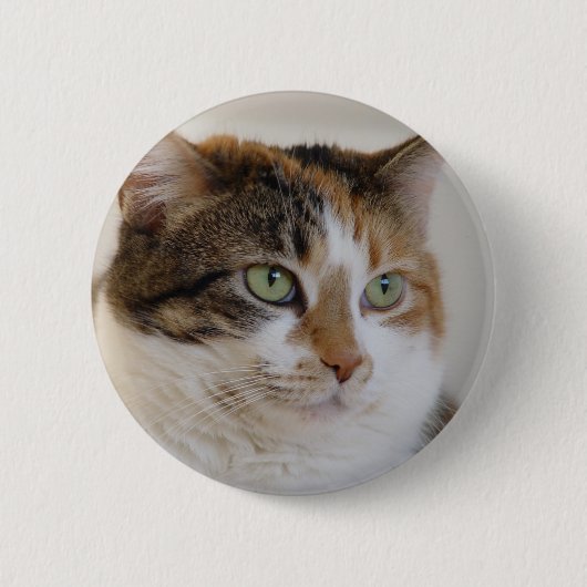 Kat-gezicht van Calico tabby Ronde Button 5,7 Cm (Voorkant)