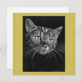 Kat Gezichtstekening door Mark Edward Westerfield  (Voorkant / Achterkant)