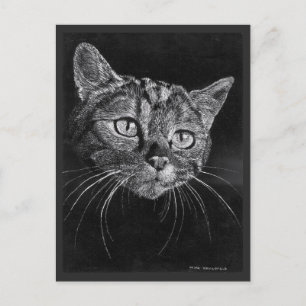 Kat Gezichtstekening door Mark Edward Westerfield Briefkaart