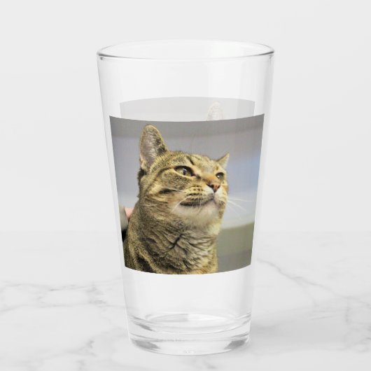 Kat Glas (Achterkant)