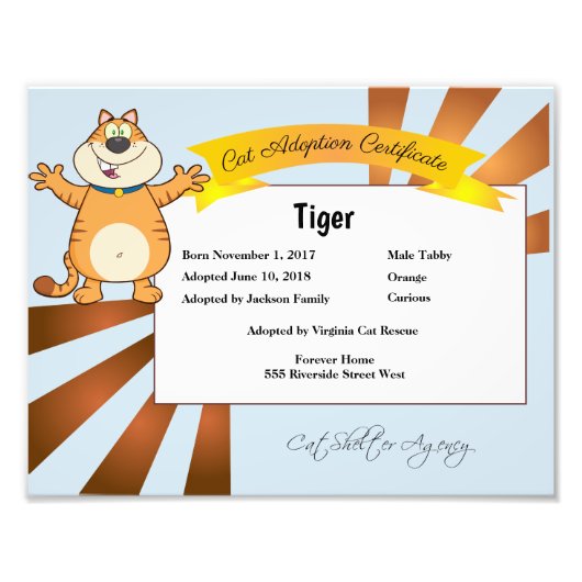 Kat-goedkeuringscertificaat Foto Afdruk (Voorkant)