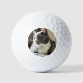 Kat Golfballen (Voorkant)