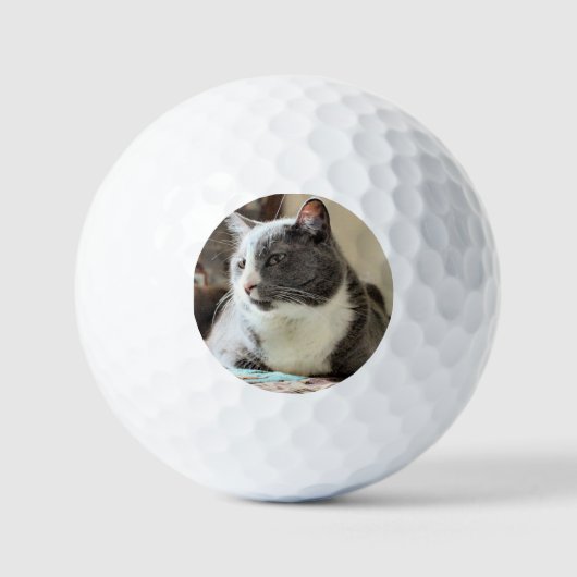 Kat Golfballen (Voorkant)