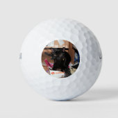 Kat Golfballen (Voorkant)