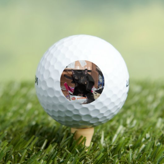 Kat Golfballen (Insitu Shirt)