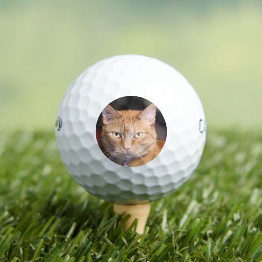 Kat Golfballen (Insitu Shirt)