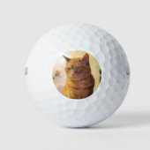 Kat Golfballen (Voorkant)