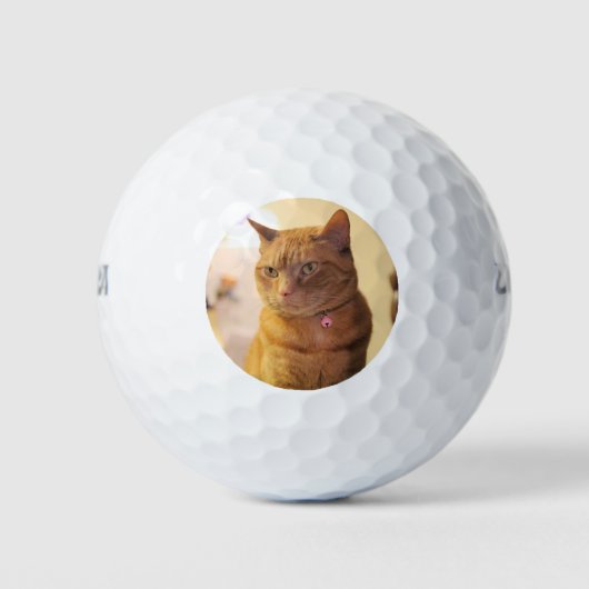 Kat Golfballen (Voorkant)