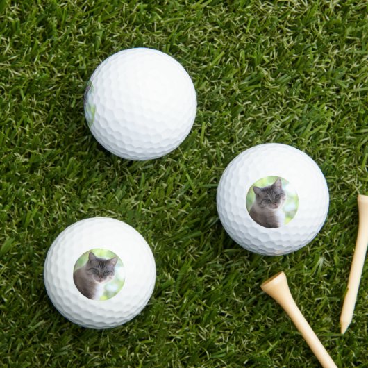 Kat Golfballen (Insitu Gras)