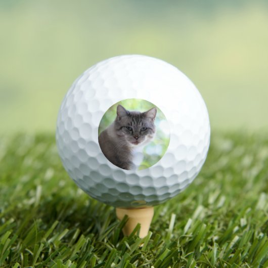 Kat Golfballen (Insitu Shirt)