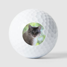 Kat Golfballen