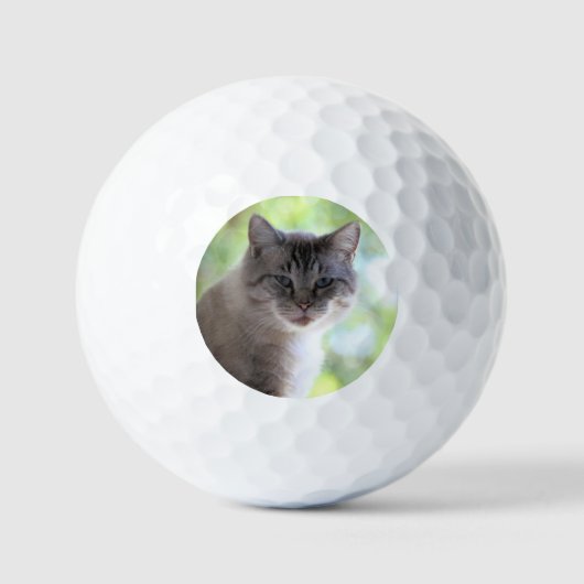 Kat Golfballen (Voorkant)