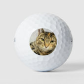 Kat Golfballen (Voorkant)