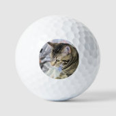 Kat Golfballen (Voorkant)