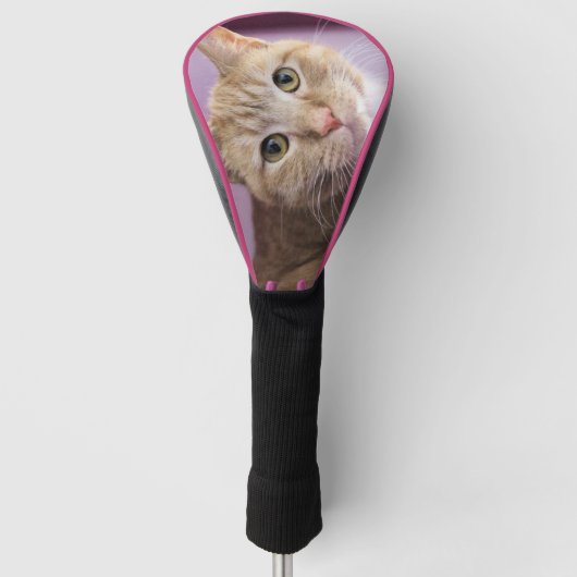 Kat Golfheadcover (Voorkant)