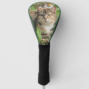 Kat Golfheadcover