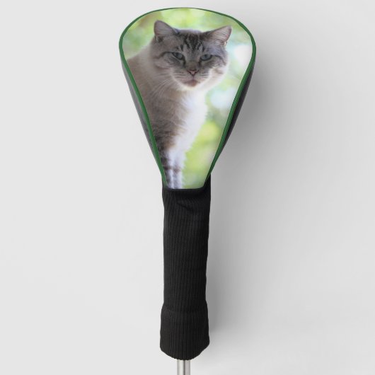 Kat Golfheadcover (Voorkant)