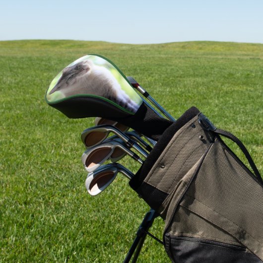 Kat Golfheadcover (Insitu)