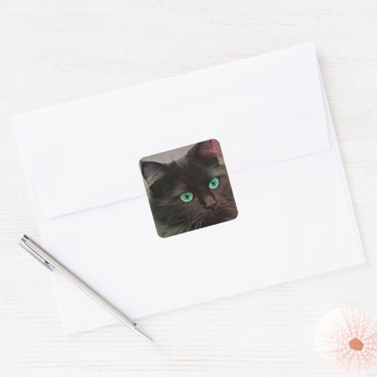 Kat Green Eyes Vierkante Sticker (Envelop)