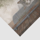  Kat Grey Cat Tissuepapier (Detail)