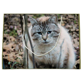 Kat Groot Cadeauzakje