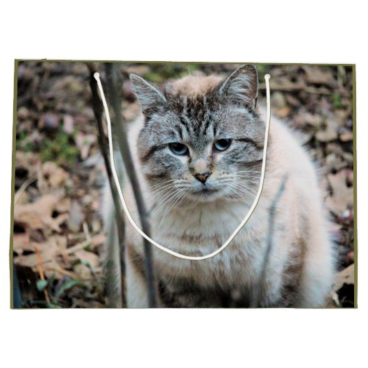 Kat Groot Cadeauzakje (Achterkant)