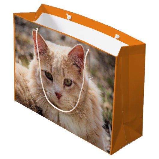 Kat Groot Cadeauzakje (Achterkant Gekanteld)