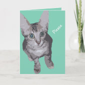 Kat grote ogen worden beter kaart (Voorkant)