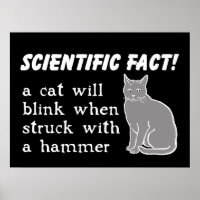 Kat Hamer Grappige Print Poster Humor