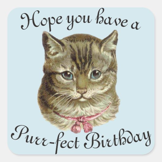  kat Happy Birthday-stickers Vierkante Sticker (Voorkant)