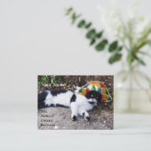 KAT-, HARLEQUINEVERLOCOMOTIEF EN  STEAM-PET VISITEKAARTJE (Staand voorkant)