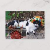 KAT-, HARLEQUINEVERLOCOMOTIEF EN  STEAM-PET VISITEKAARTJE (Achterkant)