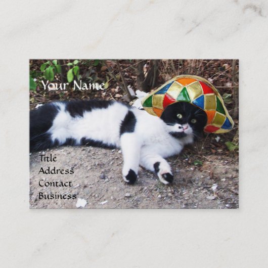 KAT-, HARLEQUINEVERLOCOMOTIEF EN  STEAM-PET VISITEKAARTJE (Voorkant)