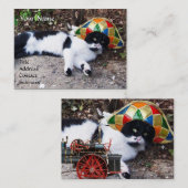 KAT-, HARLEQUINEVERLOCOMOTIEF EN STEAM-PET VISITEKAARTJE (Voorkant / Achterkant)