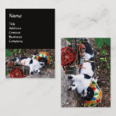 KAT-, HARLEQUINEVERLOCOMOTIEF EN  STEAM-PET VISITEKAARTJE (Voorkant / Achterkant)