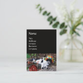 KAT-, HARLEQUINEVERLOCOMOTIEF EN  STEAM-PET VISITEKAARTJE (Staand voorkant)