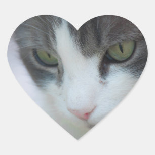 kat hart sticker