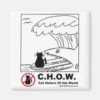 Kat Haters Surfmagneet Magneet