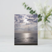 Kat Hawk Sunrise Briefkaart (Staand voorkant)