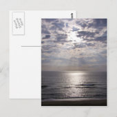 Kat Hawk Sunrise Briefkaart (Voorkant / Achterkant)