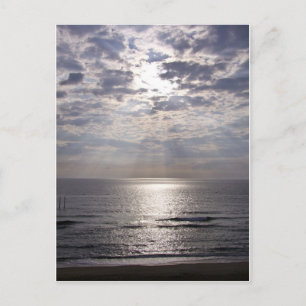 Kat Hawk Sunrise Briefkaart
