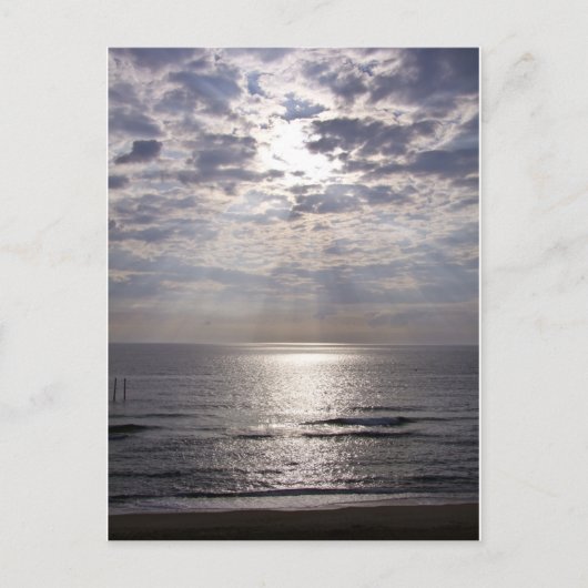 Kat Hawk Sunrise Briefkaart (Voorkant)